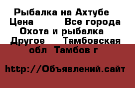 Рыбалка на Ахтубе › Цена ­ 500 - Все города Охота и рыбалка » Другое   . Тамбовская обл.,Тамбов г.